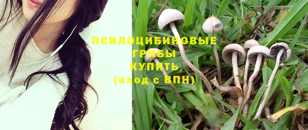 apvp Аркадак