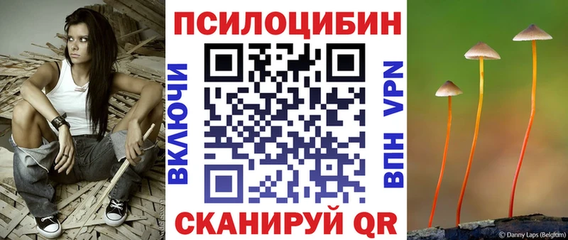 Псилоцибиновые грибы Cubensis  продажа наркотиков  Сухиничи 